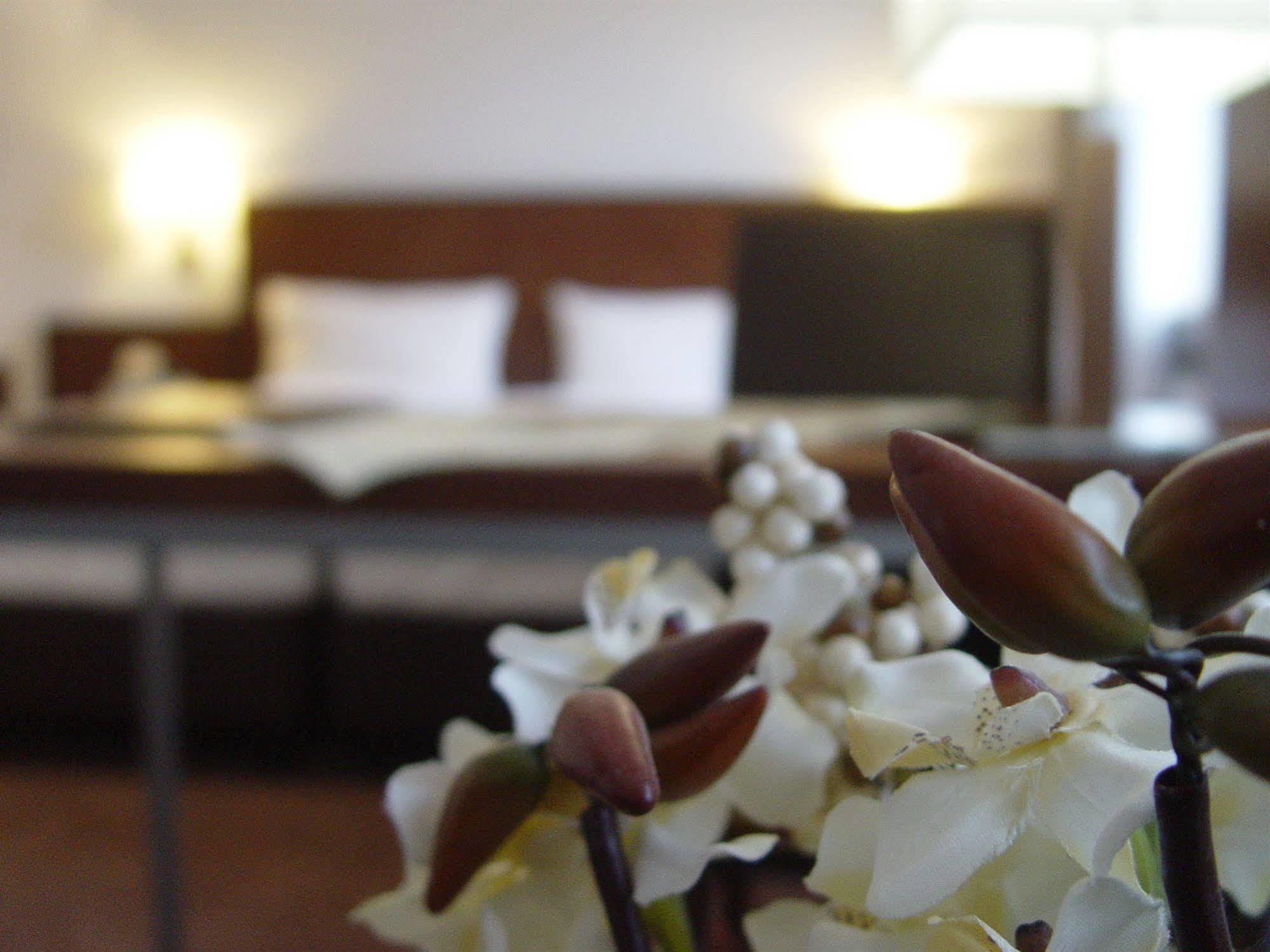 Hotel Zum Adler บอนน์ ภายนอก รูปภาพ
